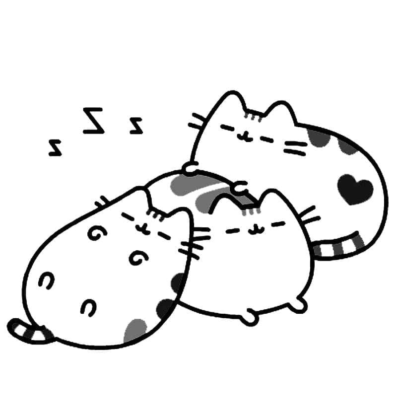 Mooie Pusheen