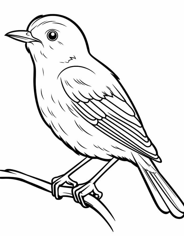 Mooie Vogel