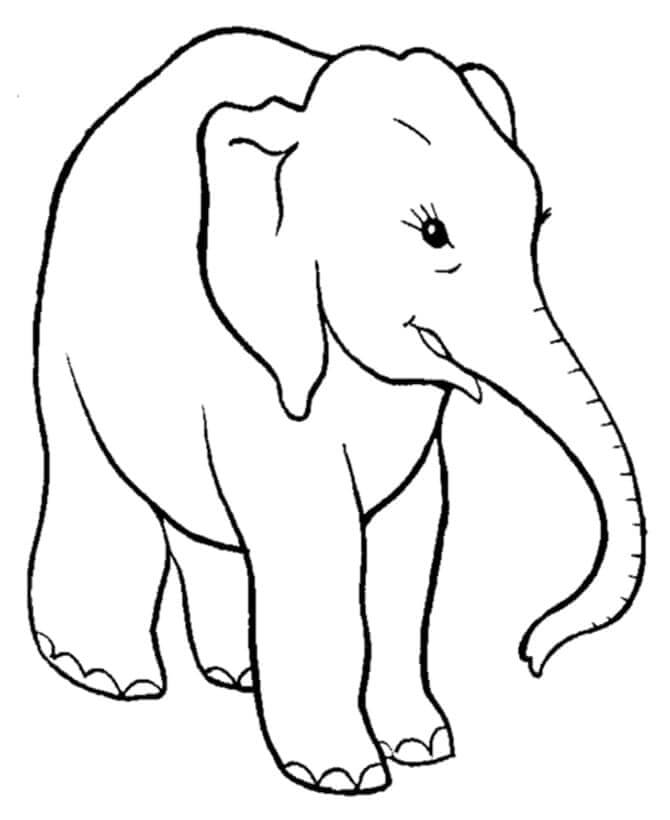 Olifant voor Kinderen van 1 Jaar