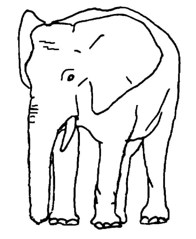 Olifant voor Kinderen van 4 Jaar