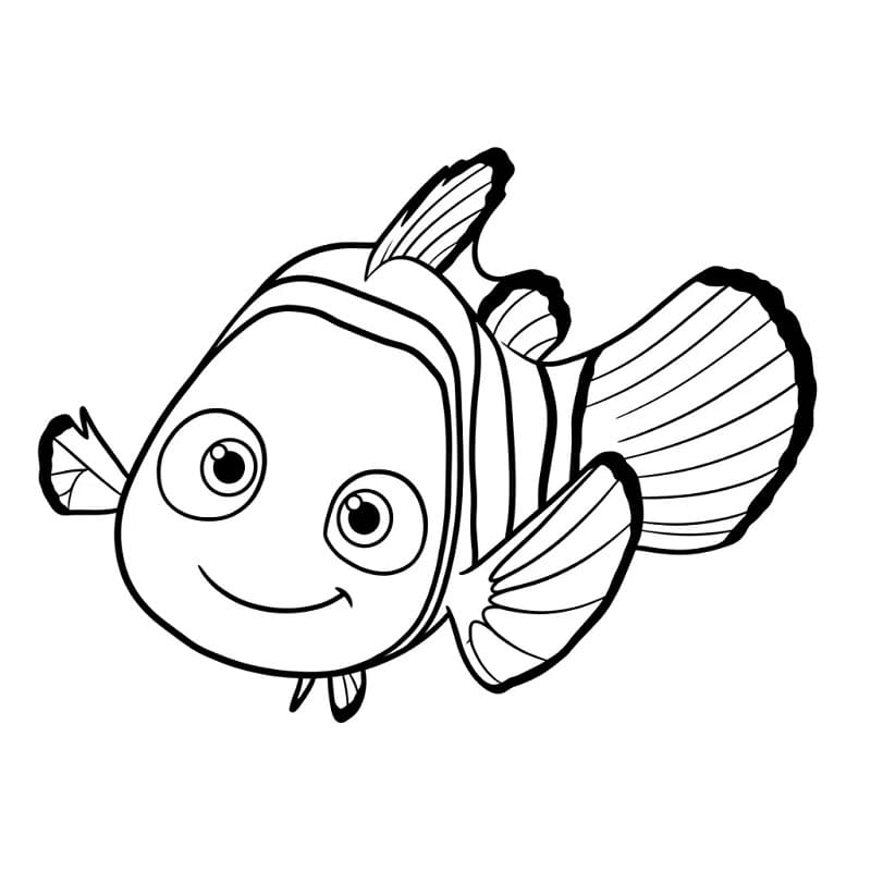 Op zoek naar Nemo (1)