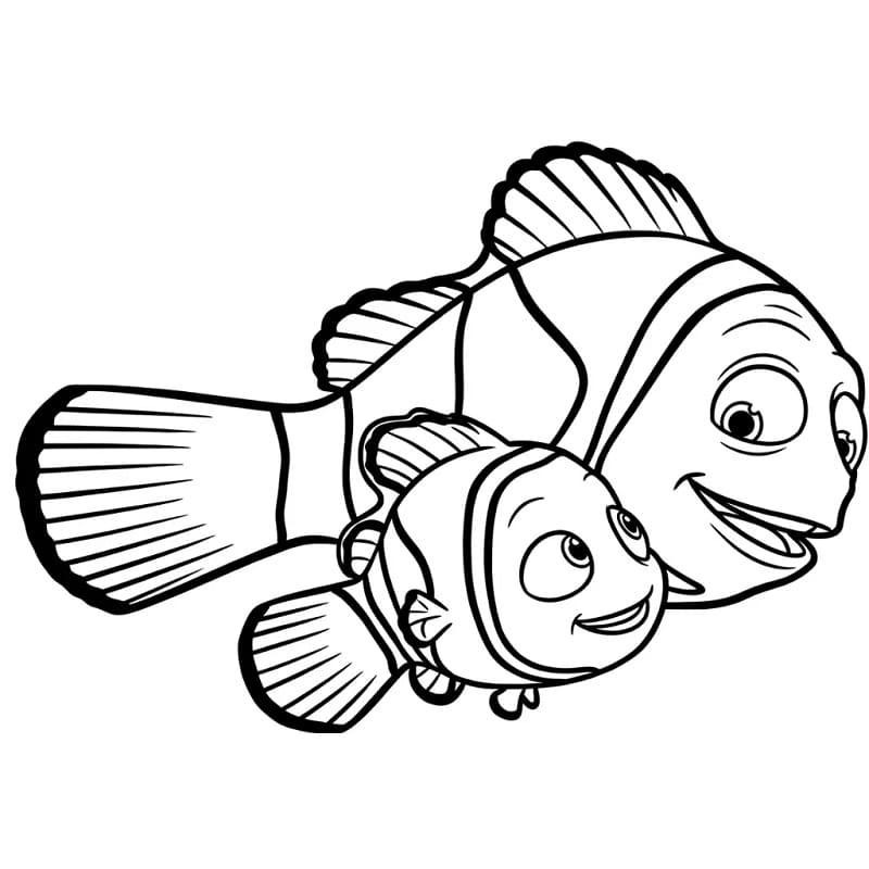 Op zoek naar Nemo (11)