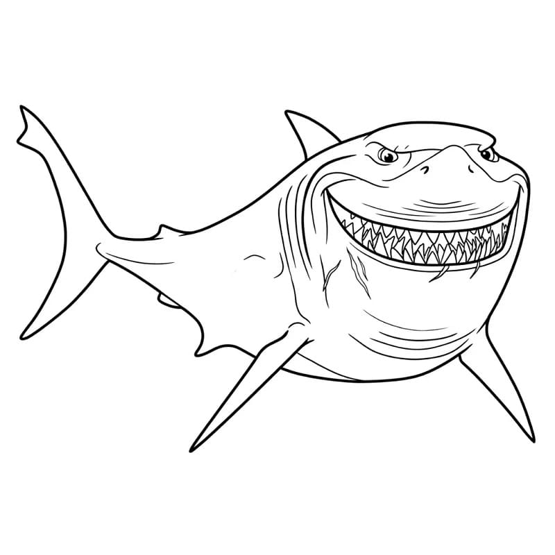 Op zoek naar Nemo (13)
