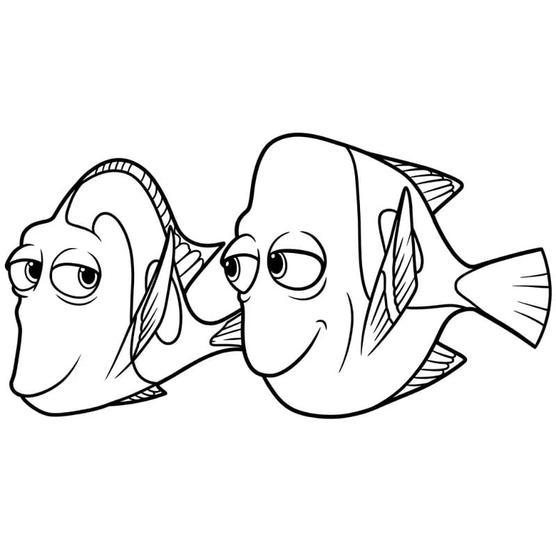 Op zoek naar Nemo (14)