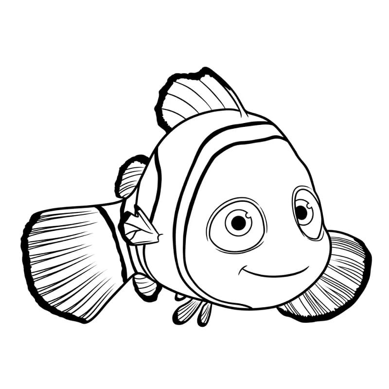 Op zoek naar Nemo (15)