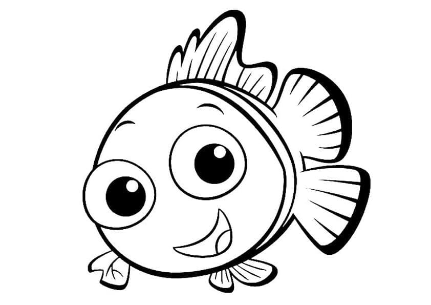 Op zoek naar Nemo (30)