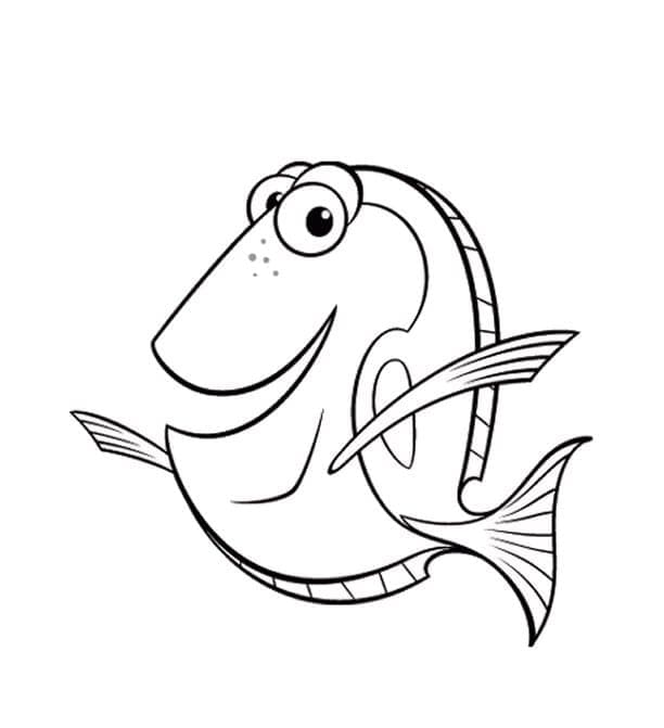 Op zoek naar Nemo (31)