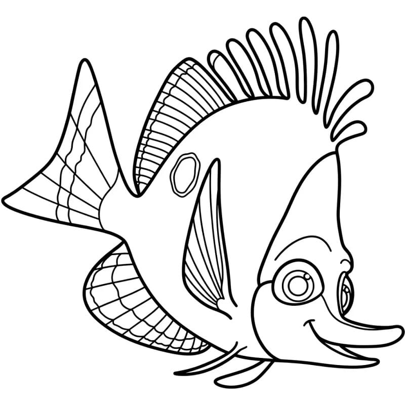Op zoek naar Nemo (4)