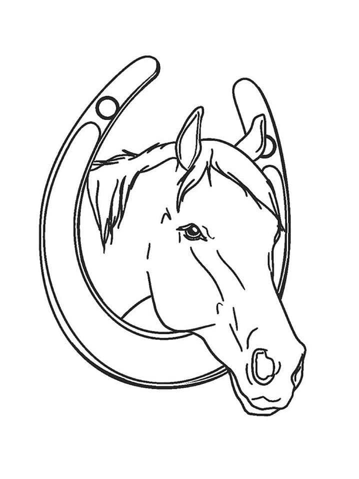 Paard Afbeelding