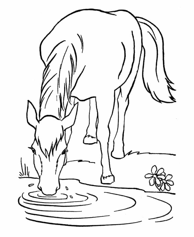 Paard Gratis Afdrukbaar