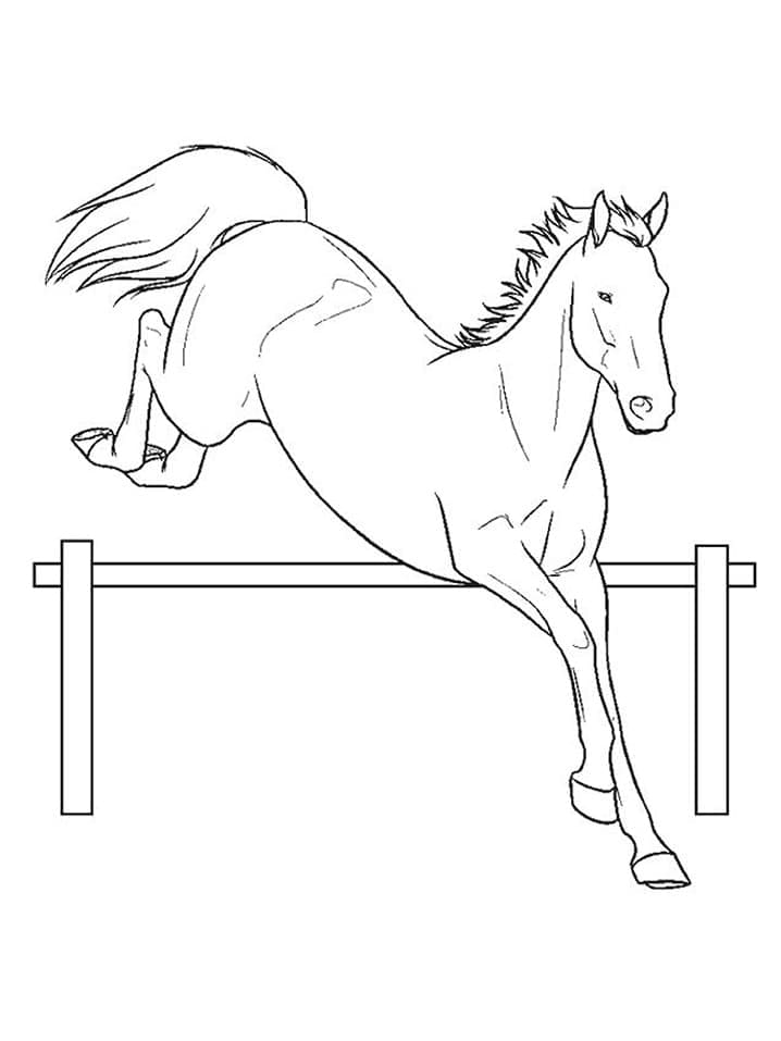 Paard Zonder Kosten