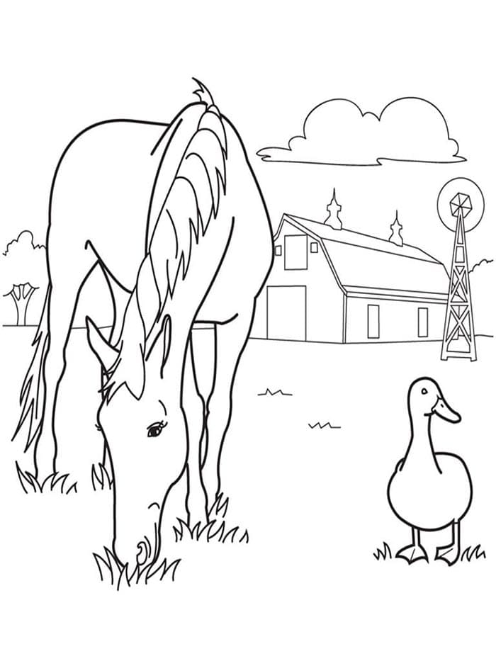 Paard voor Kinderen