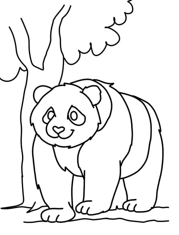 Panda om te Printen
