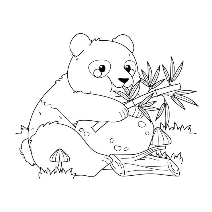Panda voor Kinderen van 2 Jaar