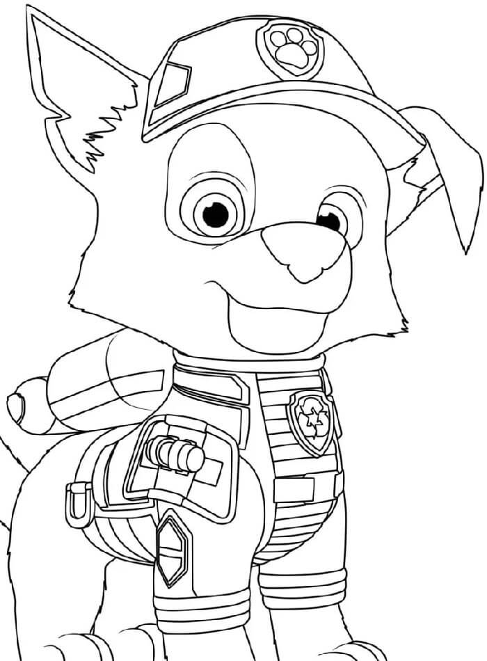Paw Patrol (1)