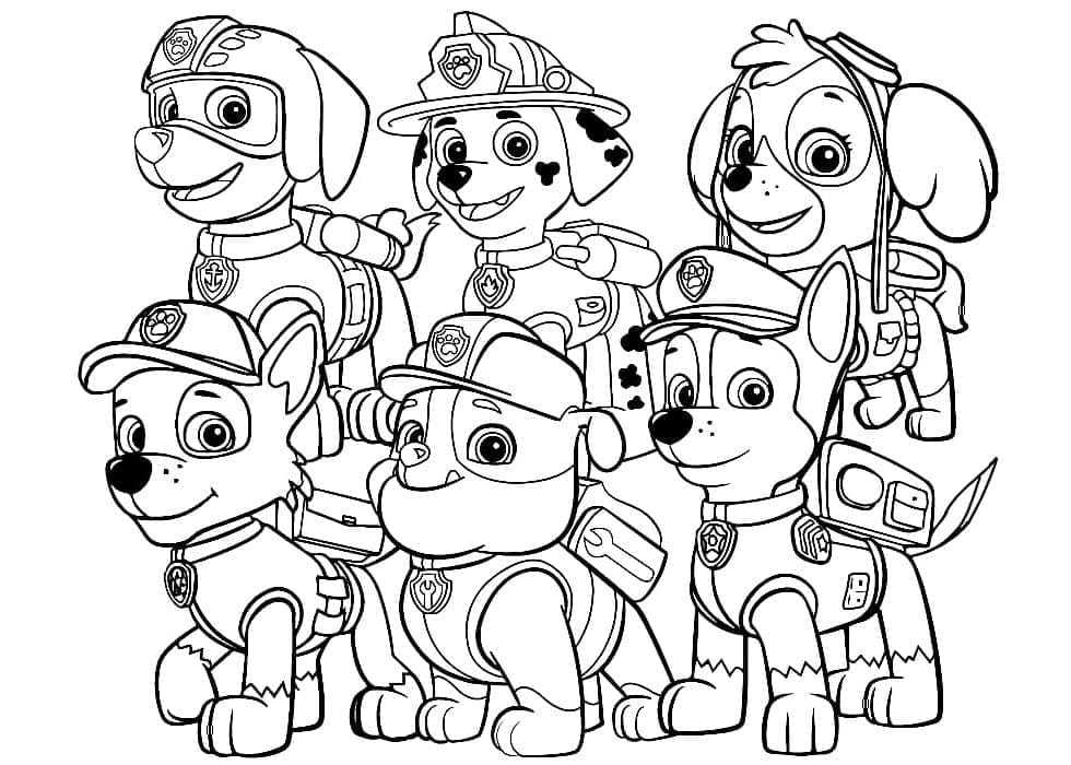 Paw Patrol (10)