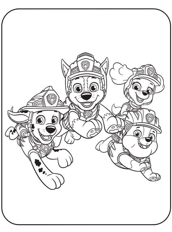 Paw Patrol (12)