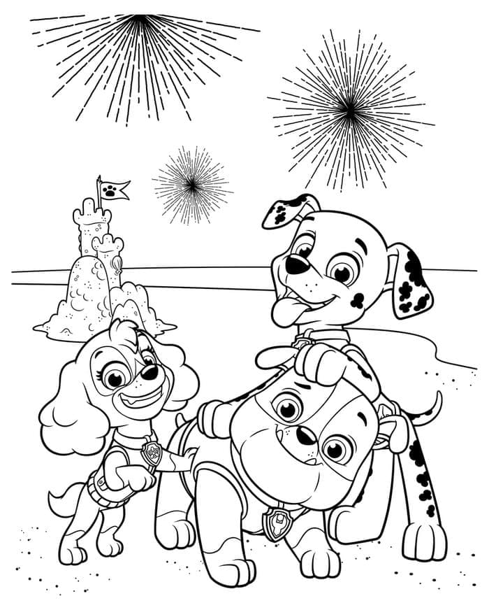 Paw Patrol (14)