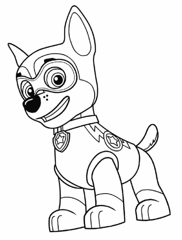 Paw Patrol (2)