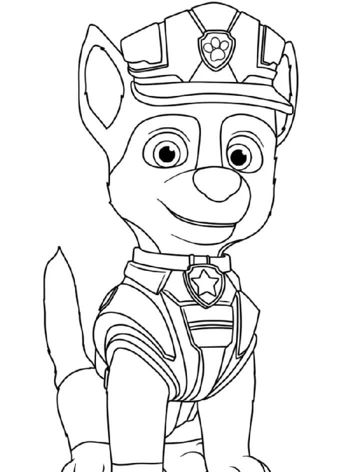 Paw Patrol (3)