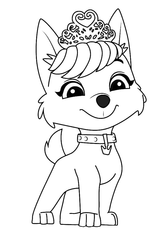 Paw Patrol (4)