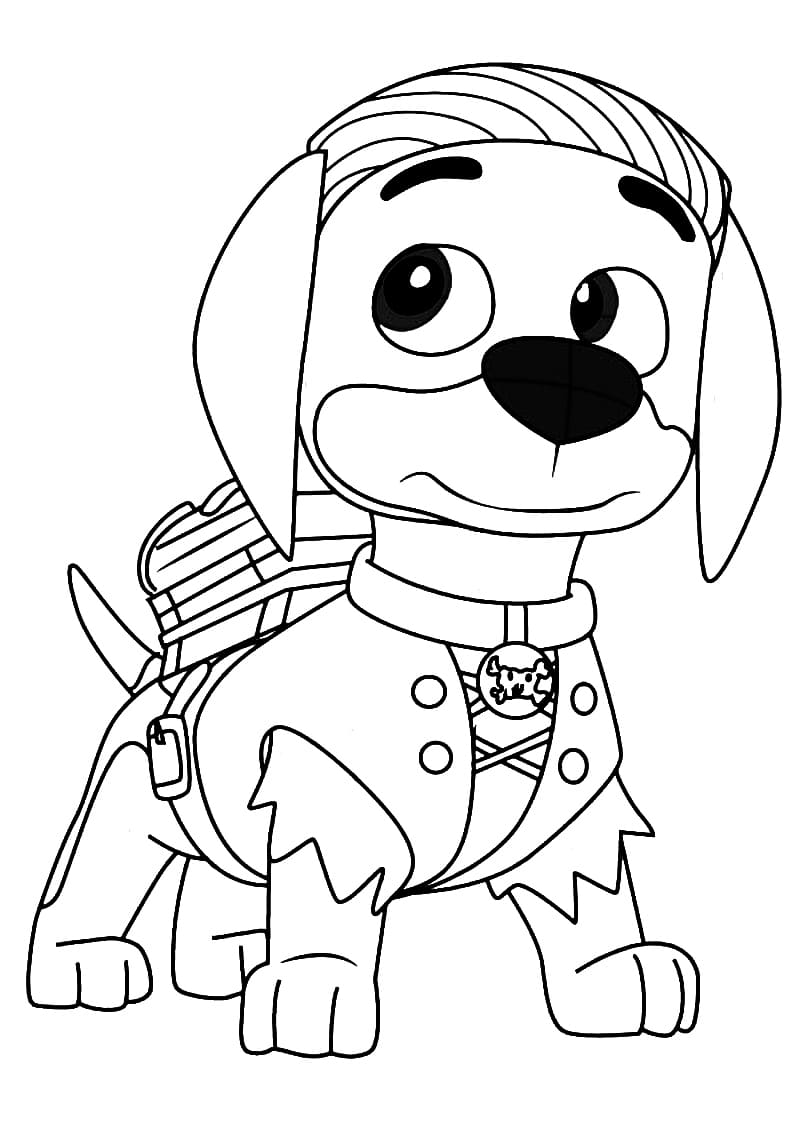 Paw Patrol (5)