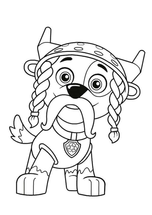 Paw Patrol (6)