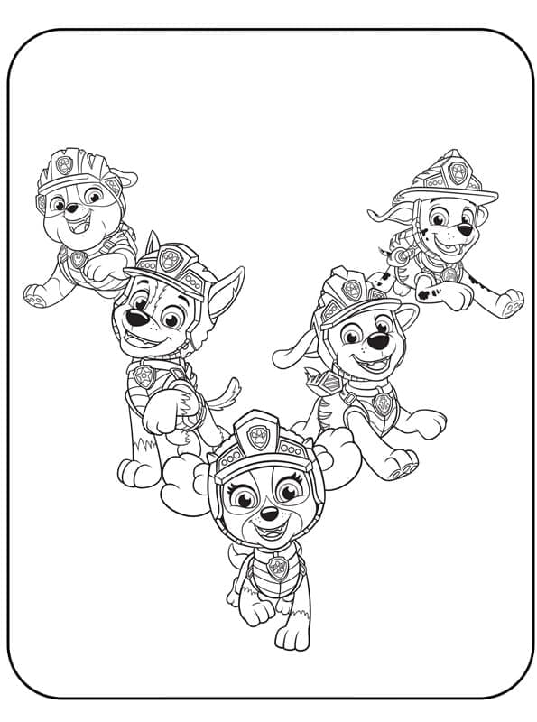 Paw Patrol (7)
