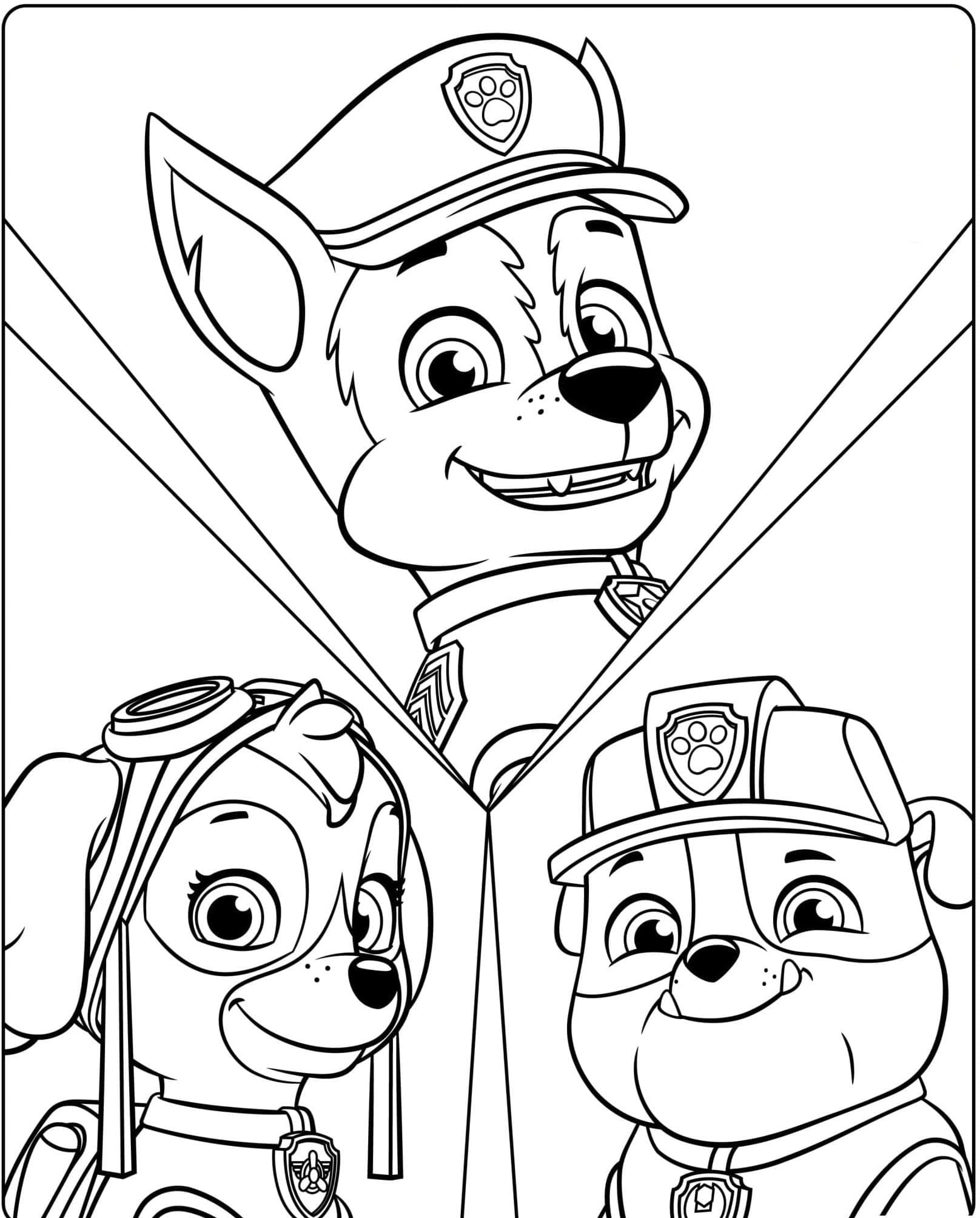 Paw Patrol (8)