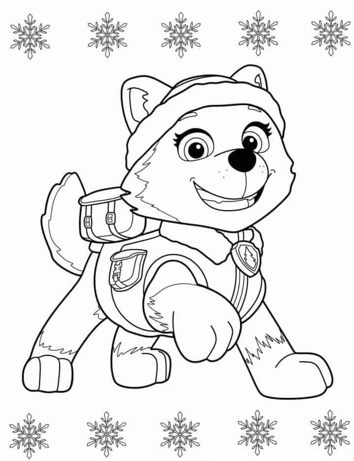 Paw Patrol Afbeelding