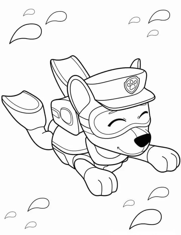 Paw Patrol voor Kinderen van 1 Jaar