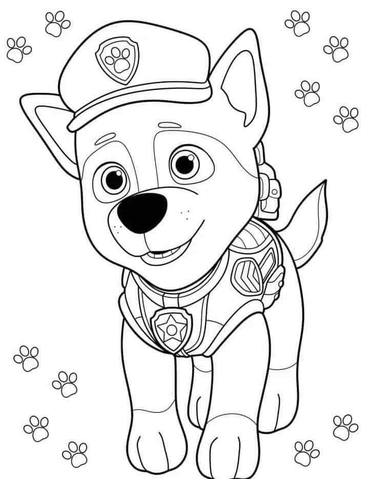 Paw Patrol voor Kinderen van 3 Jaar
