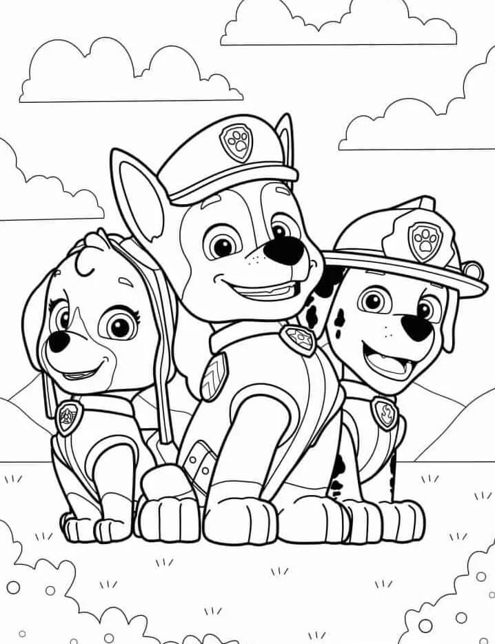 Paw Patrol voor Kinderen van 4 Jaar