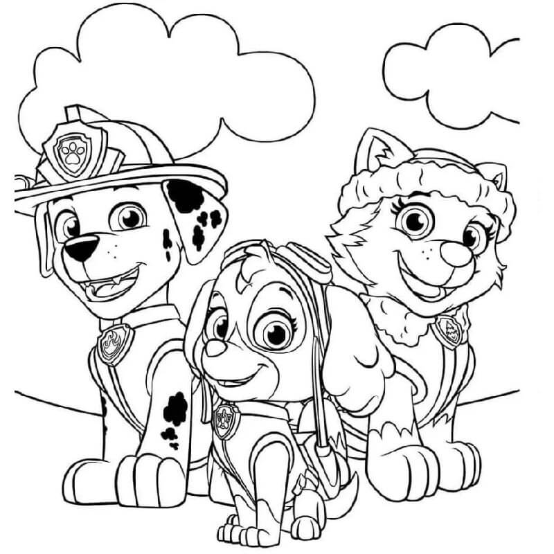 Paw Patrol voor Kinderen van 5 Jaar