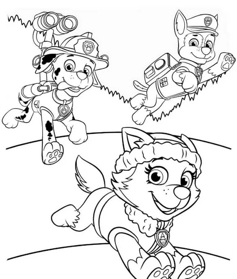 Paw Patrol voor Kinderen van 6 Jaar