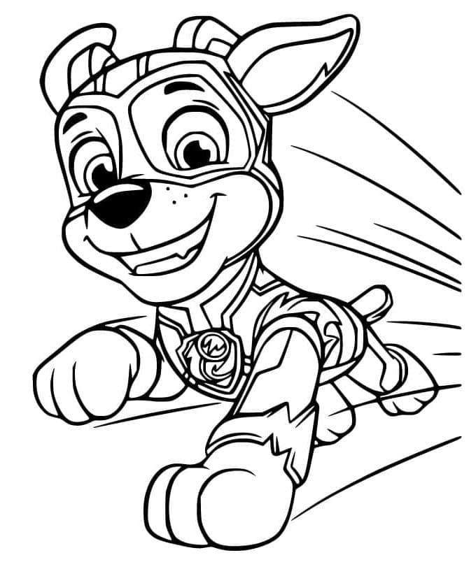 Paw Patrol voor Kinderen