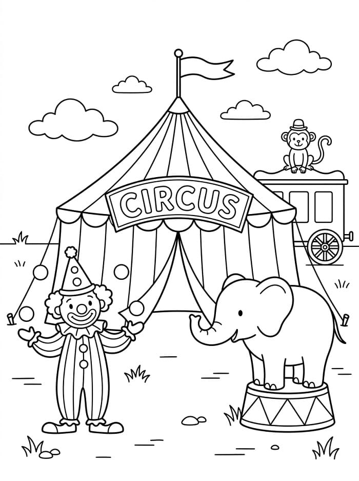 Perfect circus