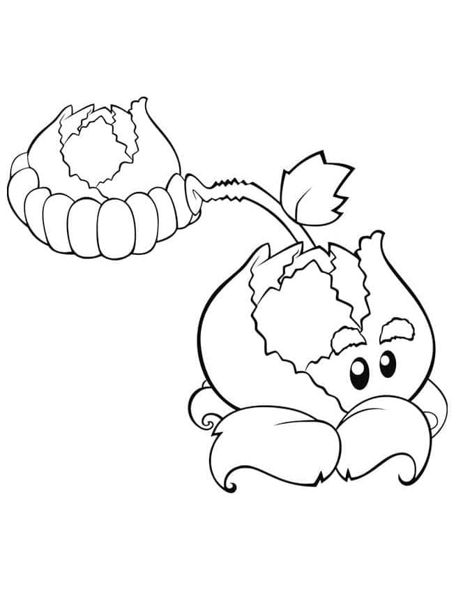 Plants Vs Zombies (25)