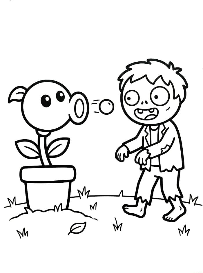 Plants Vs Zombies (5)