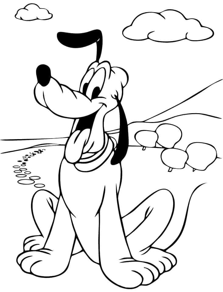 Pluto printen