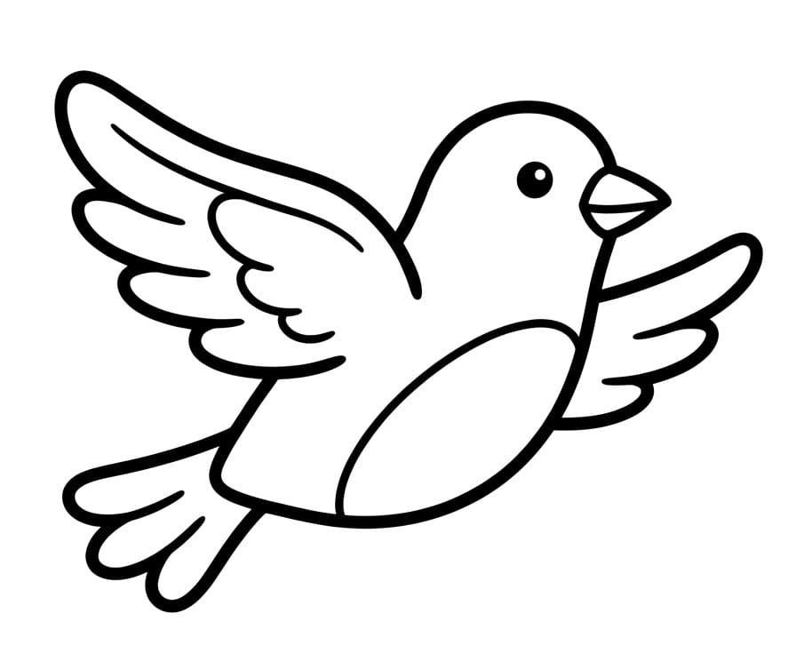 Prachtige Vogel