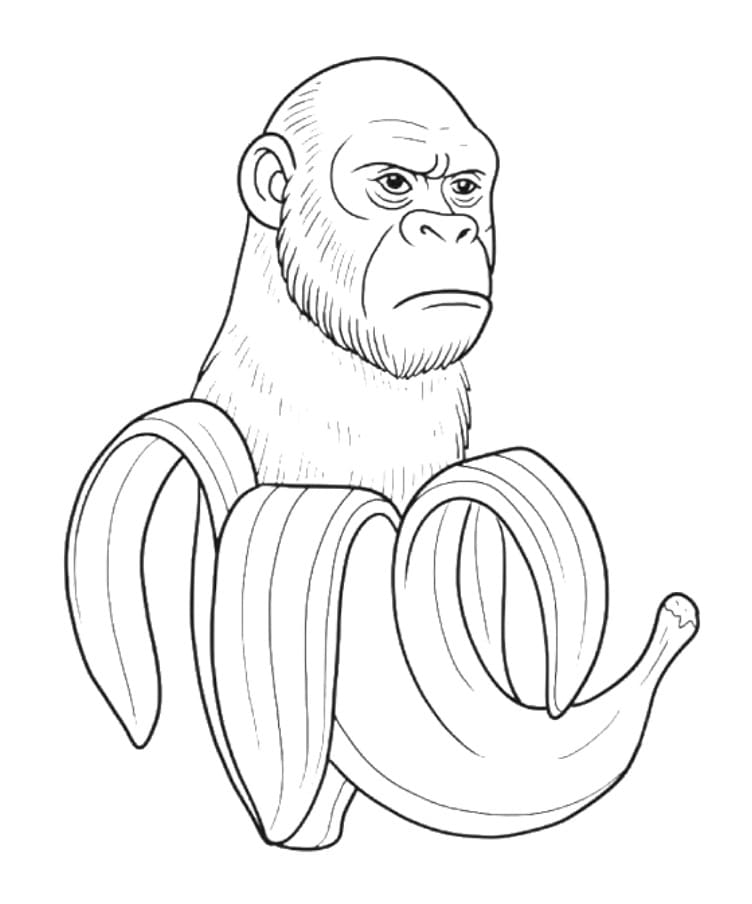 Printbare Chimpanzini Bananini