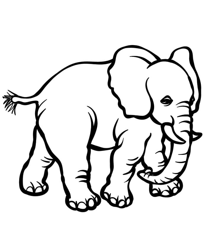 Printbare Olifant