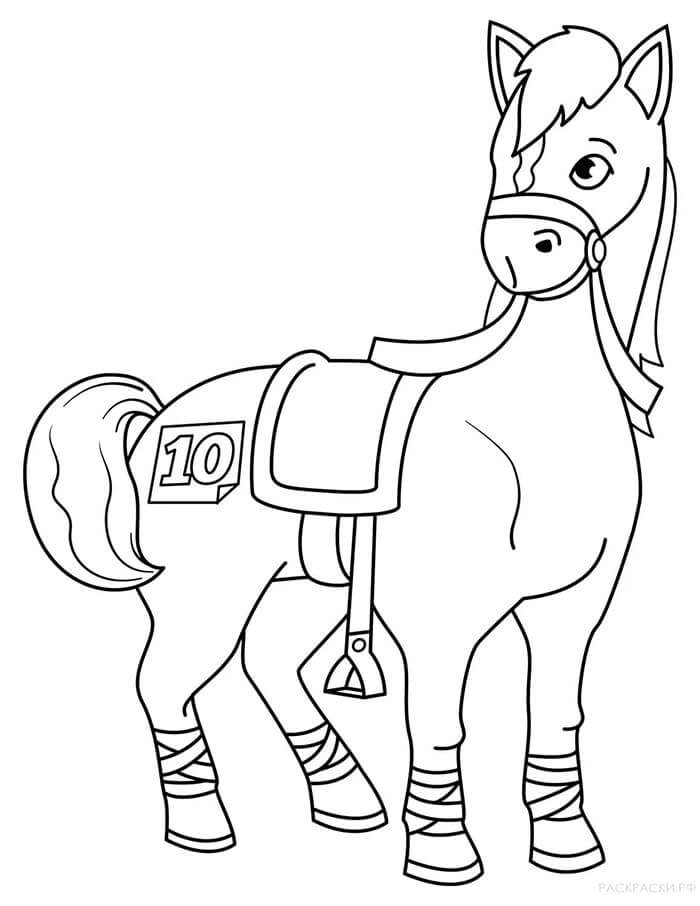 Printbare Paard Afbeelding