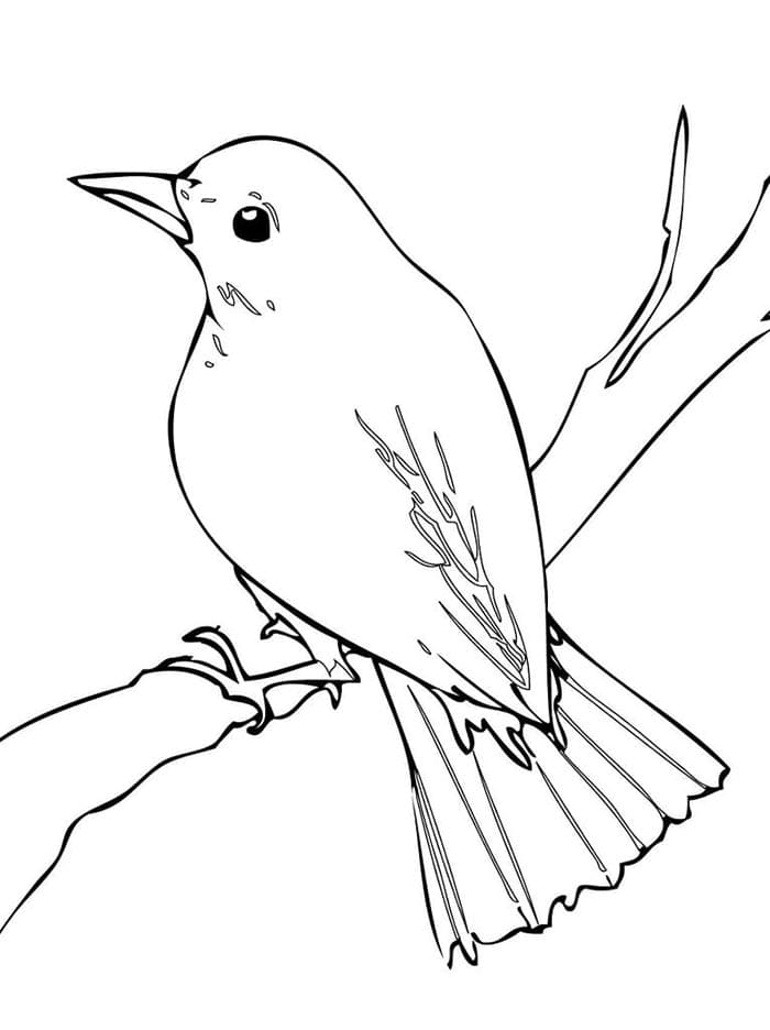 Printbare Vogel Afbeelding