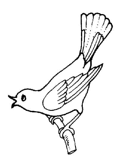 Printbare Vogel