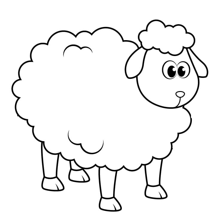 Printbare afbeelding van een schaap