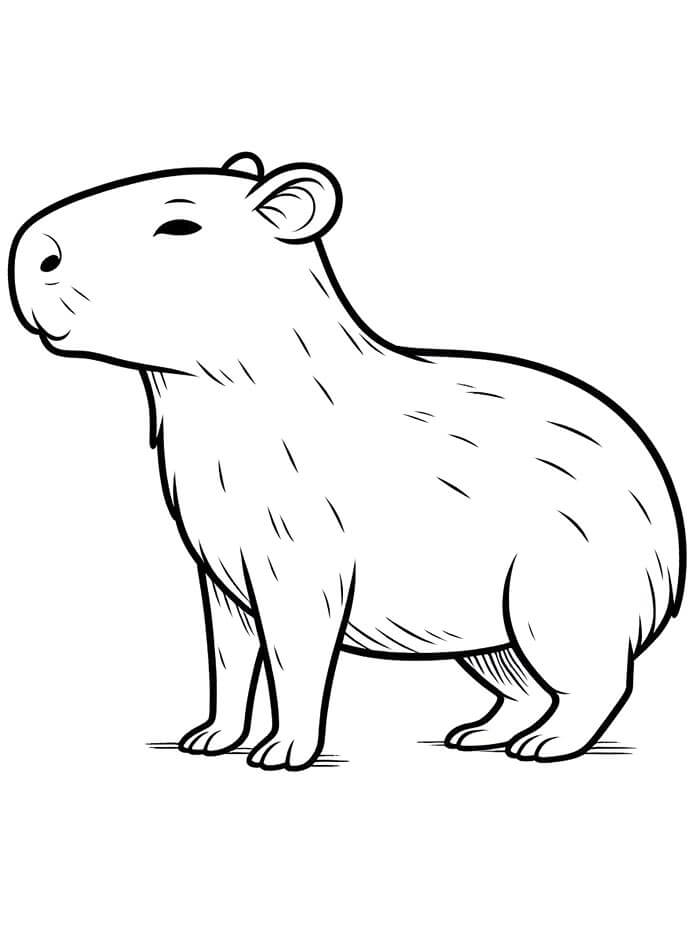 Printvriendelijke Capibara