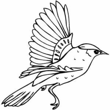 Printvriendelijke Vogel