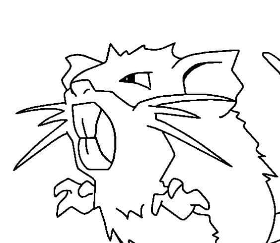 Raticate Pokemon